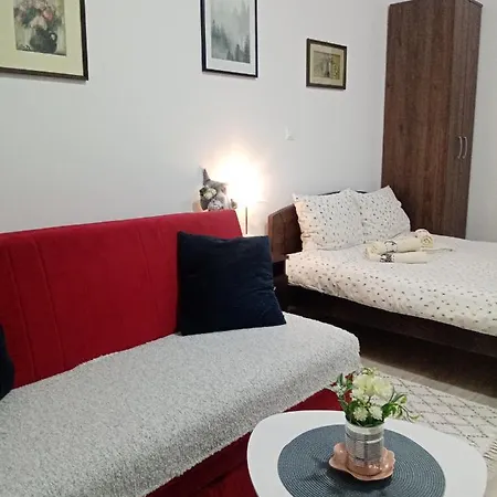 Apartament Gakic 2 *