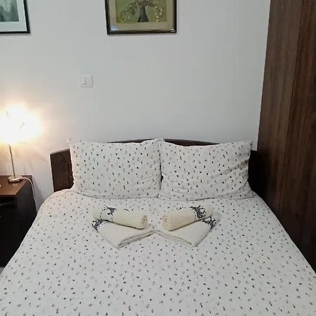 Apartament Gakic 2 *